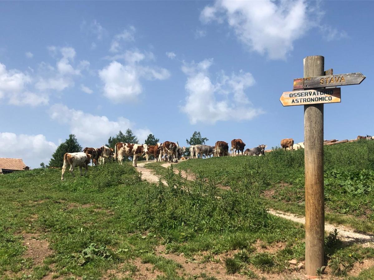 B&B Le Stagioni Di Stava Tesero Ngoại thất bức ảnh