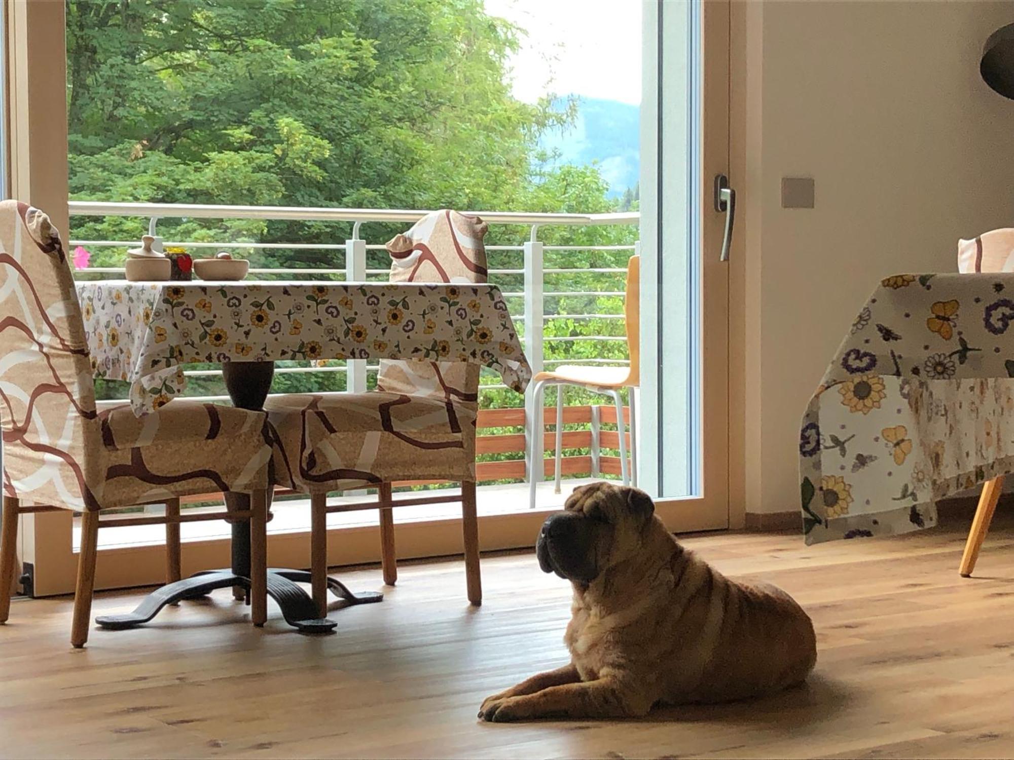 B&B Le Stagioni Di Stava Tesero Ngoại thất bức ảnh